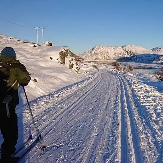 Snøkledd vei