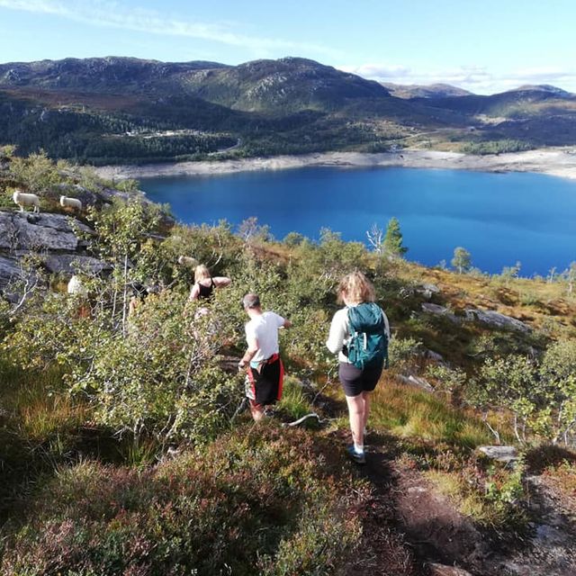 Mennesker på fjelltur