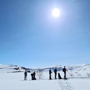 Mennesker som går på ski på fjellet