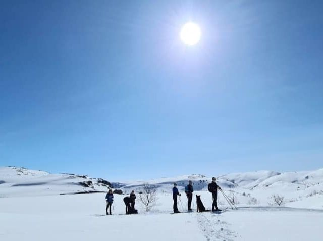 Mennesker som går på ski på fjellet