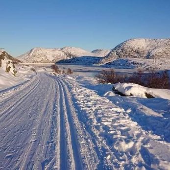Snøkledd vei