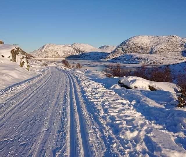 Snøkledd vei