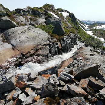 Liten foss
